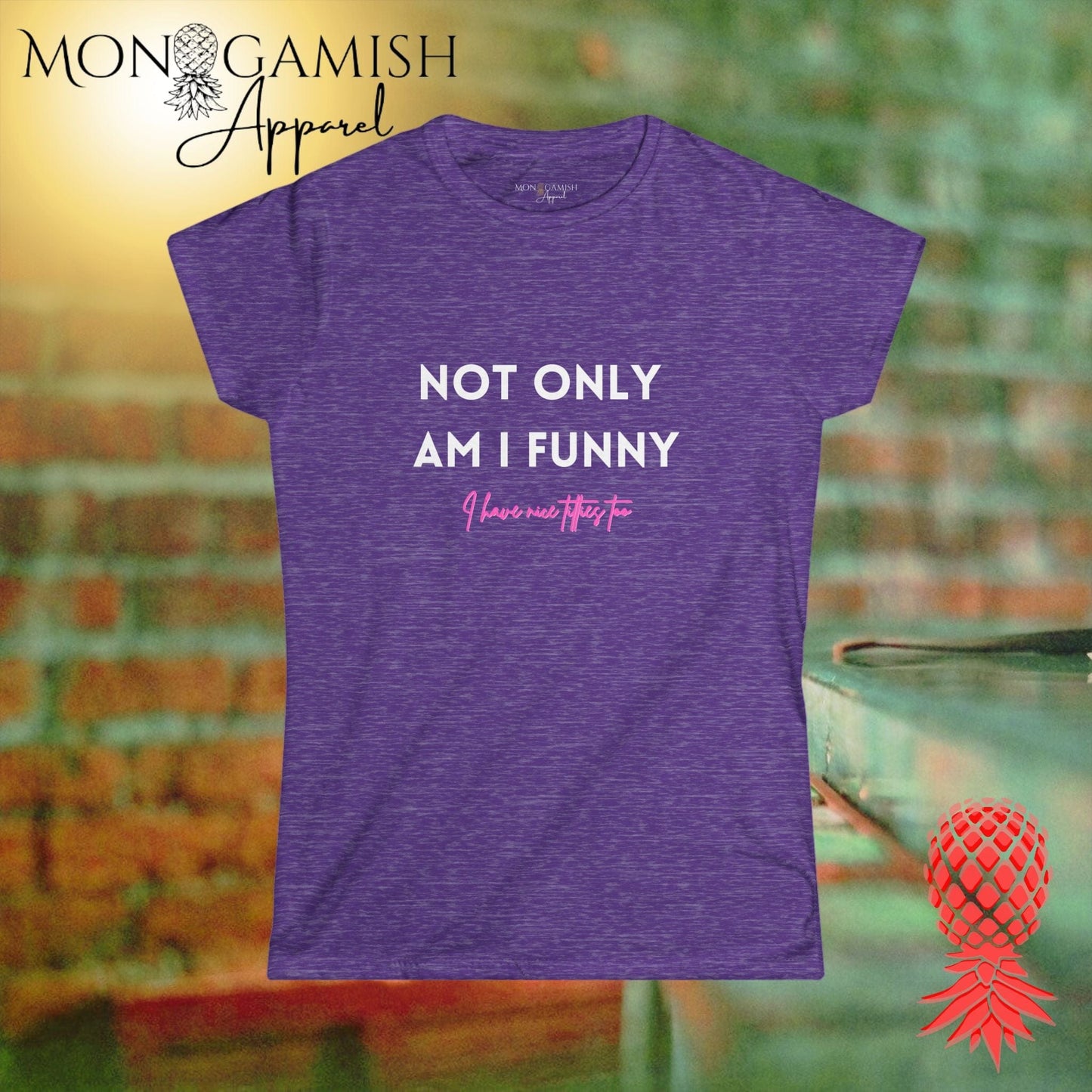 Funny AND Nice Boobs Women's Tee