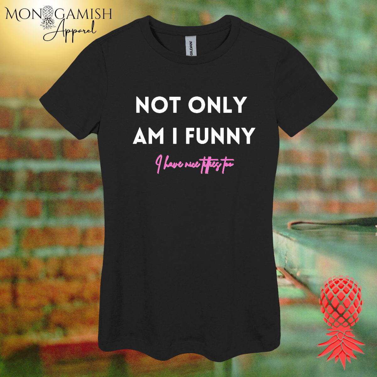 Funny AND Nice Boobs Women's Tee