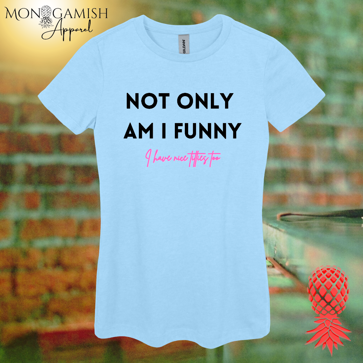 Funny AND Nice Boobs Women's Tee