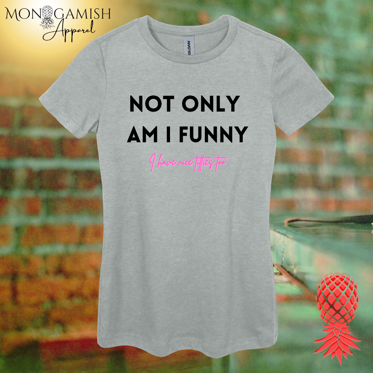 Funny AND Nice Boobs Women's Tee